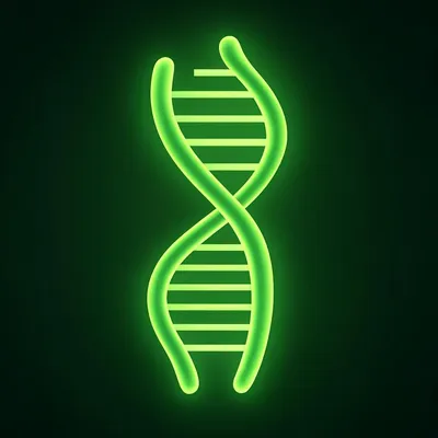 Espirulina